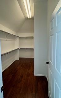 spacious closet featuring vaulted ceiling and dark hardwood / wood-style flooring