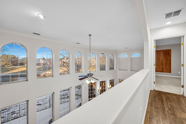 hall featuring dark hardwood / wood-style flooring and crown molding