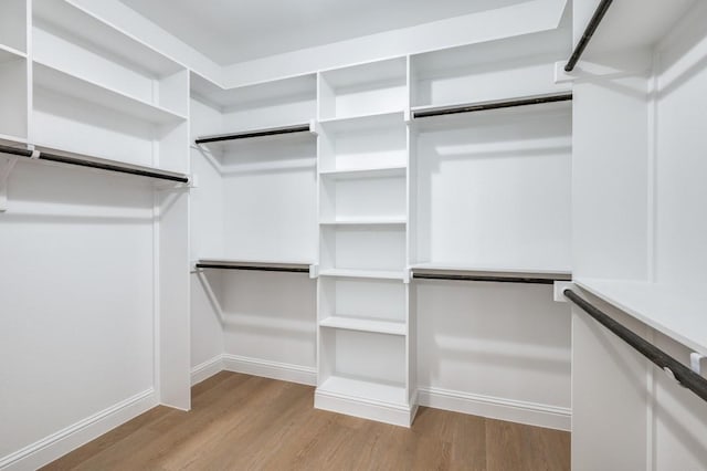 spacious closet with light hardwood / wood-style flooring