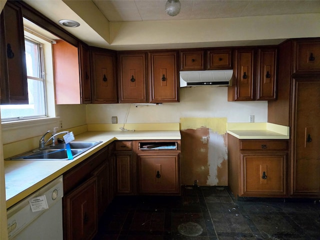 kitchen featuring sink and white dishwasher