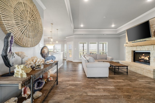 living room featuring dark hardwood / wood-style floors, a stone fireplace, a raised ceiling, ornamental molding, and sink