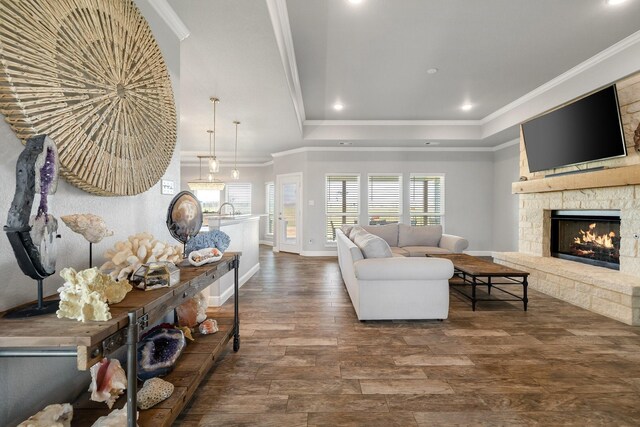 living room with a fireplace, a raised ceiling, crown molding, and wood-type flooring