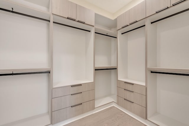 spacious closet with light wood-type flooring