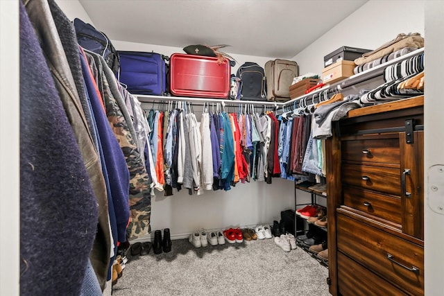 spacious closet with carpet floors