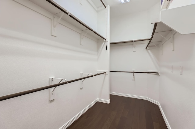 walk in closet featuring dark wood-type flooring