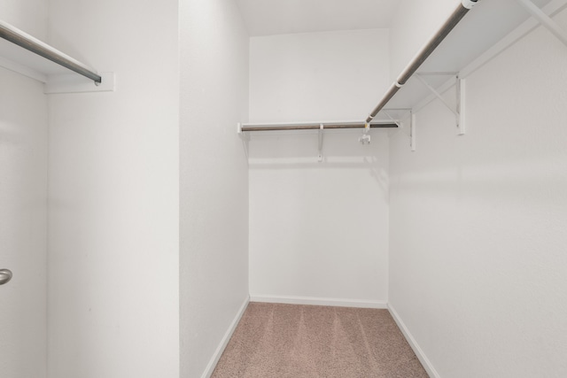 walk in closet with carpet flooring