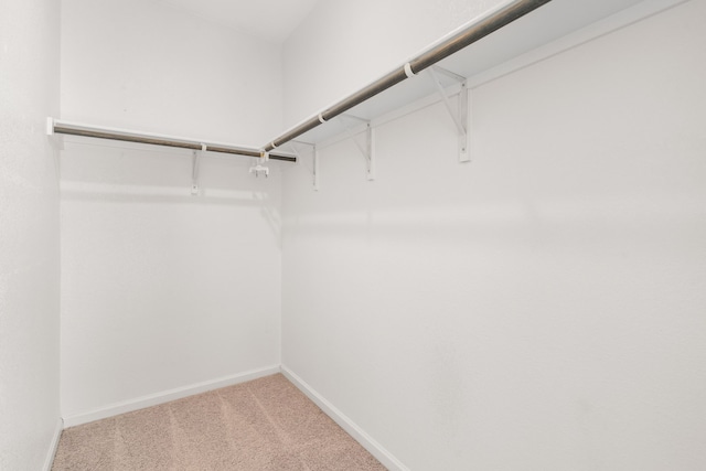 spacious closet featuring carpet floors