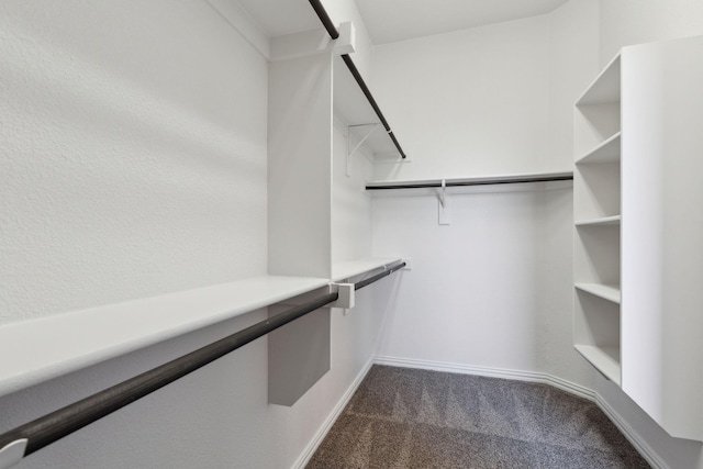 walk in closet with dark colored carpet