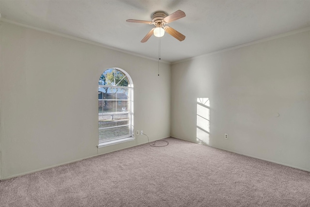 unfurnished room featuring carpet, ceiling fan, and crown molding