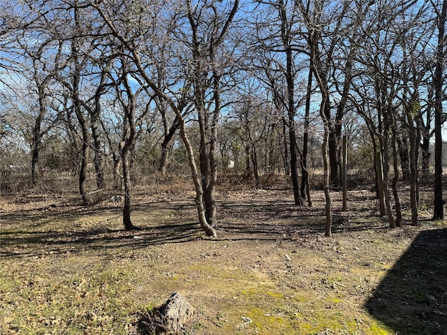 view of local wilderness