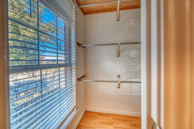 walk in closet featuring wood finished floors