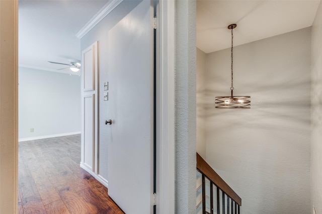 hallway featuring dark hardwood / wood-style flooring and crown molding