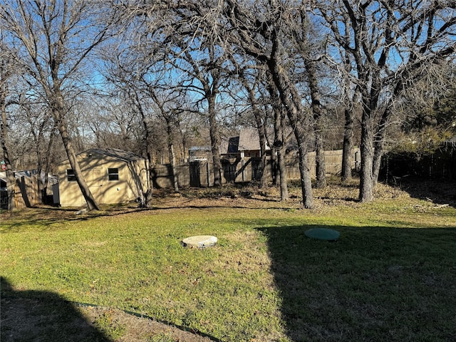 view of yard with a storage unit