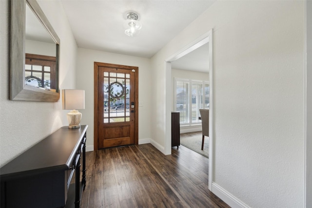 entrance foyer featuring dark hardwood / wood-style flooring