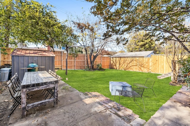 view of yard with a patio and a shed