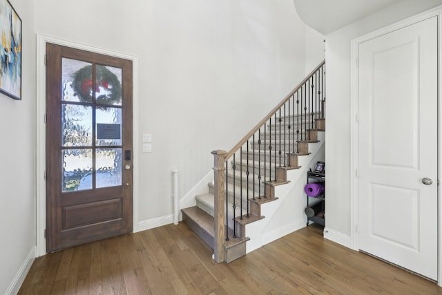 entrance foyer featuring wood-type flooring