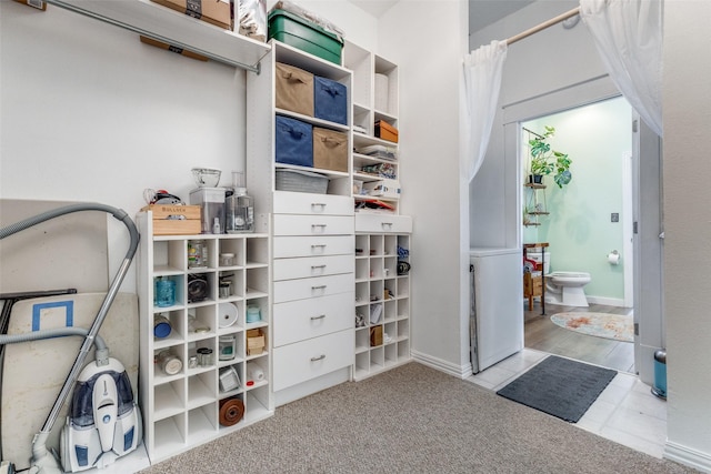 walk in closet with light carpet