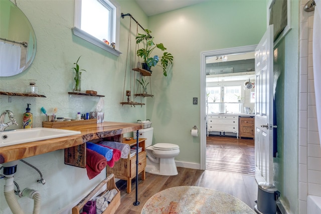 bathroom with sink, toilet, and wood-type flooring