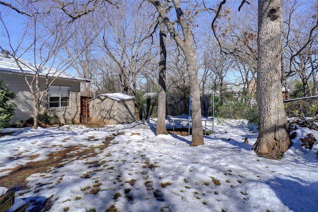 snowy yard with a shed and a trampoline