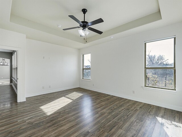 empty room featuring a wealth of natural light, a raised ceiling, and dark hardwood / wood-style floors