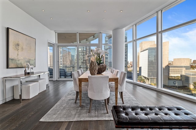 interior space with dark hardwood / wood-style floors and expansive windows