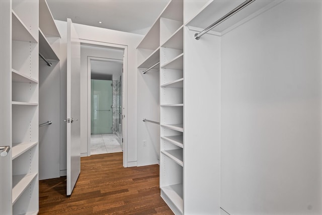 spacious closet featuring dark hardwood / wood-style flooring