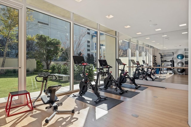 workout area with a wealth of natural light and light hardwood / wood-style floors