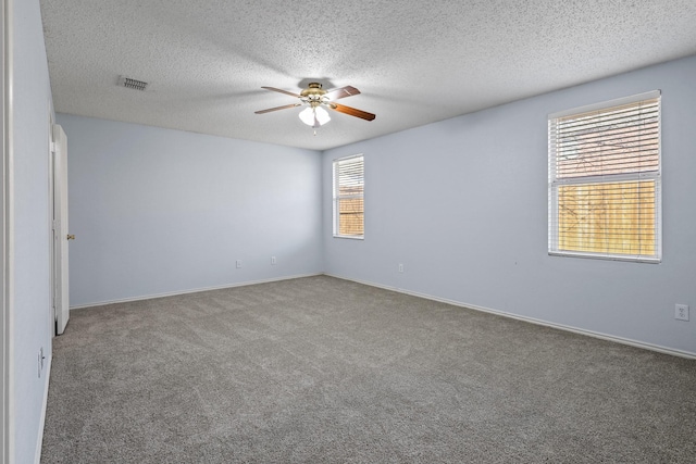 empty room featuring carpet floors, plenty of natural light, and a textured ceiling