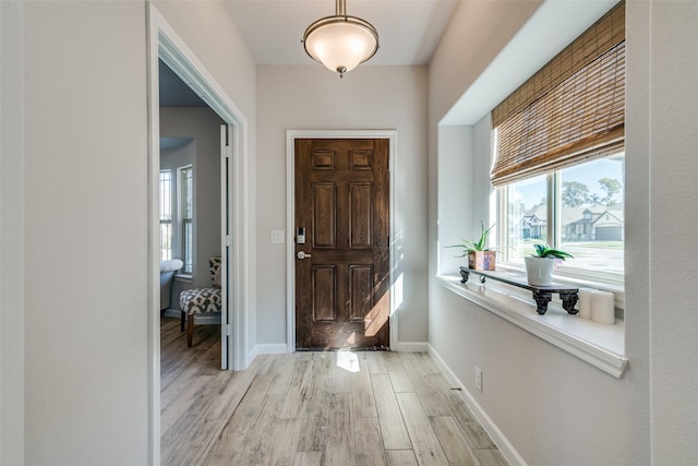 518 Whitney Ln, Lavon, TX 75166 - entrance foyer with baseboards, a wealth of natural light, and light wood finished floors