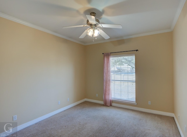 carpeted spare room with ceiling fan and crown molding