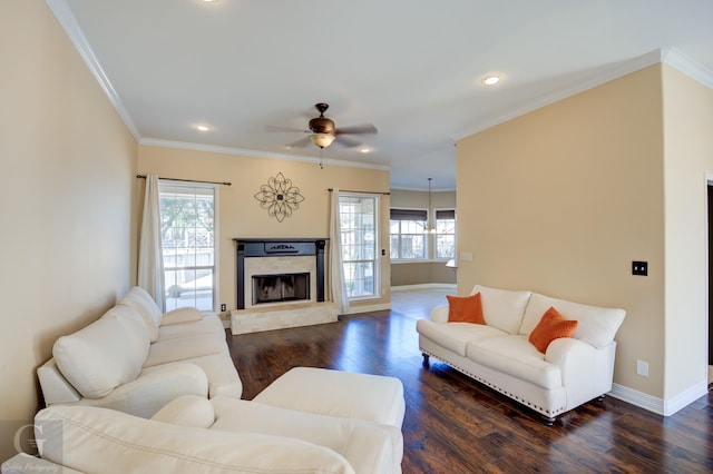 living room featuring ceiling fan, dark hardwood / wood-style flooring, and ornamental molding