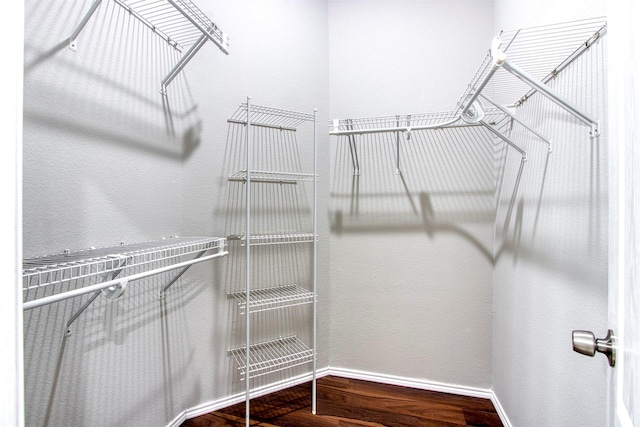 walk in closet featuring wood-type flooring