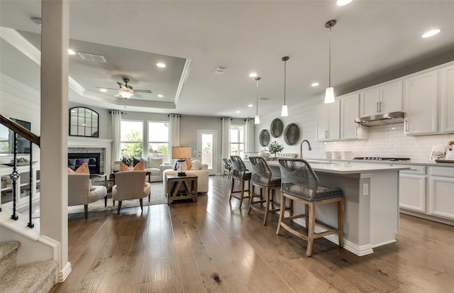 kitchen with decorative light fixtures, ceiling fan, a center island with sink, a tray ceiling, and white cabinetry