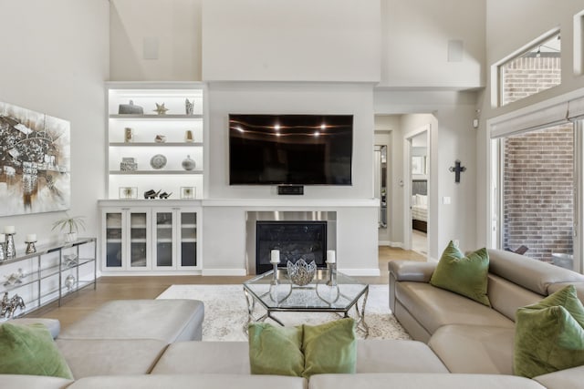 living room featuring hardwood / wood-style floors