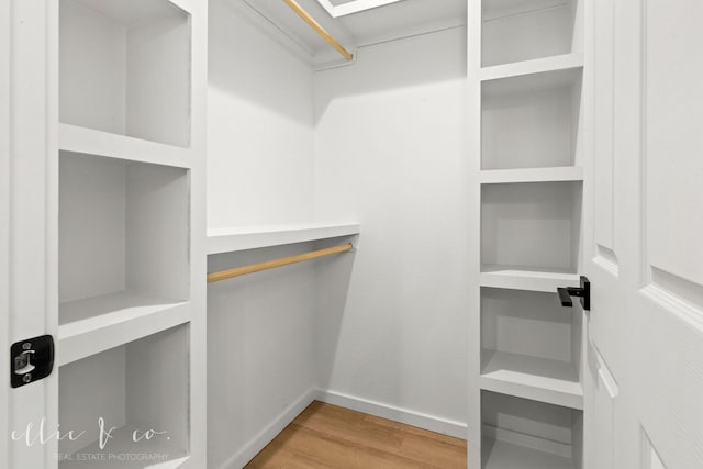 walk in closet featuring hardwood / wood-style flooring