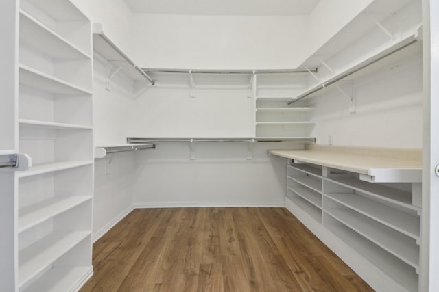 walk in closet with dark wood-type flooring