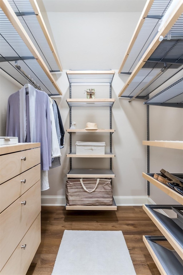 spacious closet with dark hardwood / wood-style floors