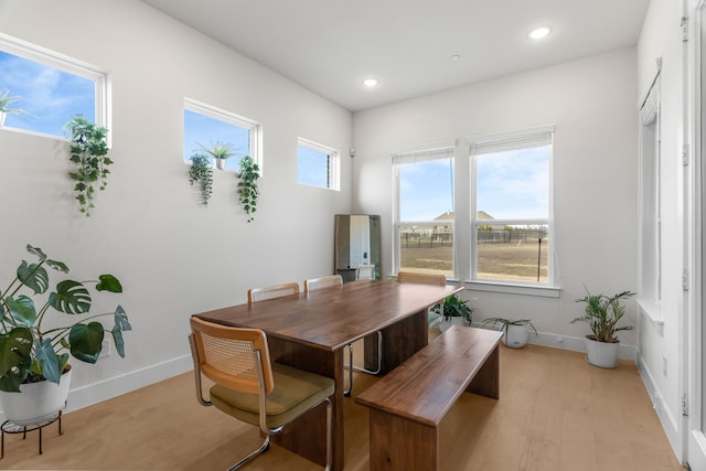 dining space with light hardwood / wood-style floors