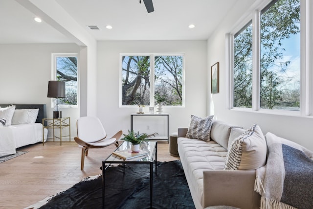 living room with wood-type flooring and ceiling fan