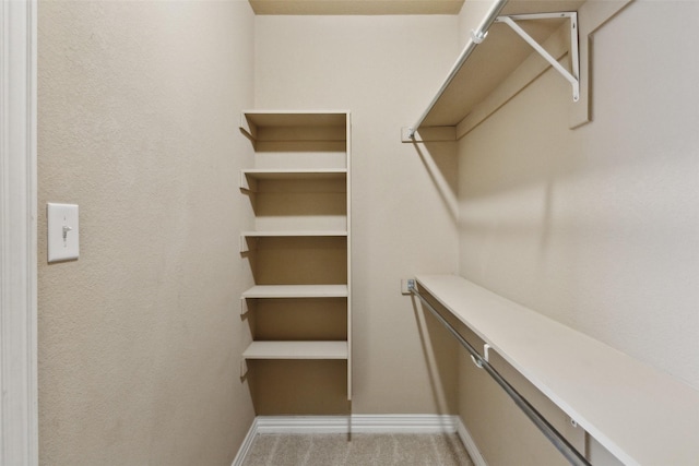 spacious closet featuring carpet floors