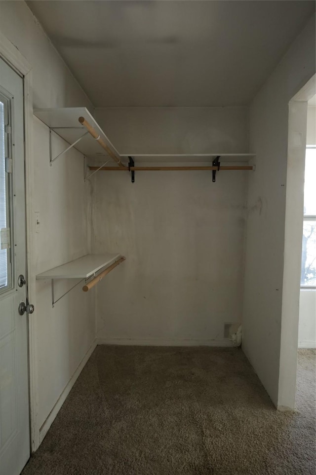 spacious closet featuring carpet