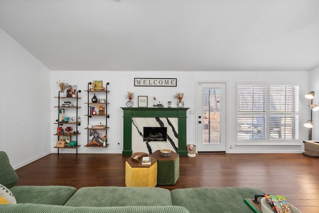 living room featuring a premium fireplace and dark hardwood / wood-style flooring