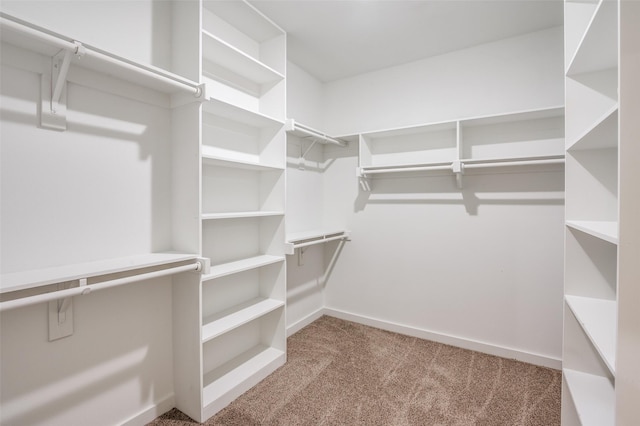 spacious closet with light carpet