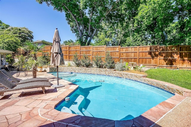 view of pool featuring a patio area