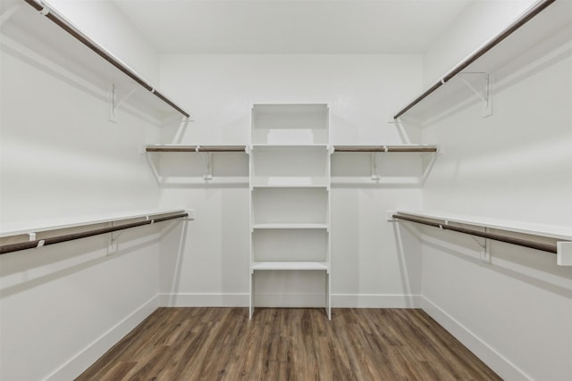 walk in closet featuring dark wood-type flooring