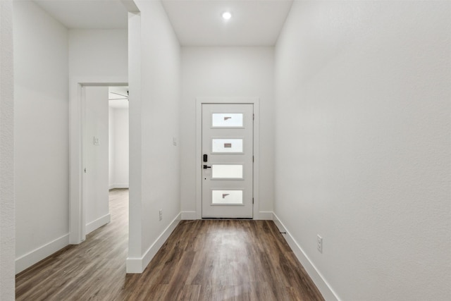 entrance foyer featuring dark wood-type flooring and a towering ceiling