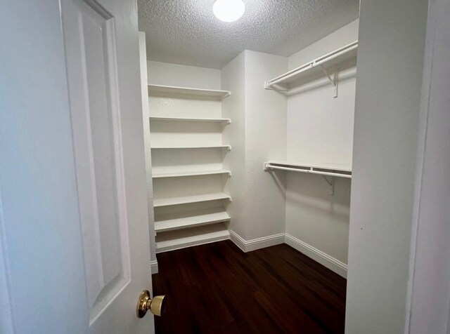 spacious closet featuring dark wood-type flooring