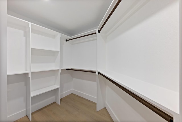 spacious closet featuring light wood-type flooring