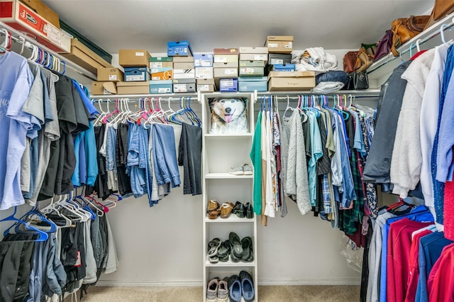 walk in closet with light colored carpet