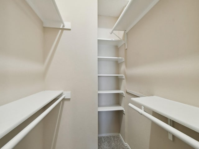 walk in closet with carpet flooring